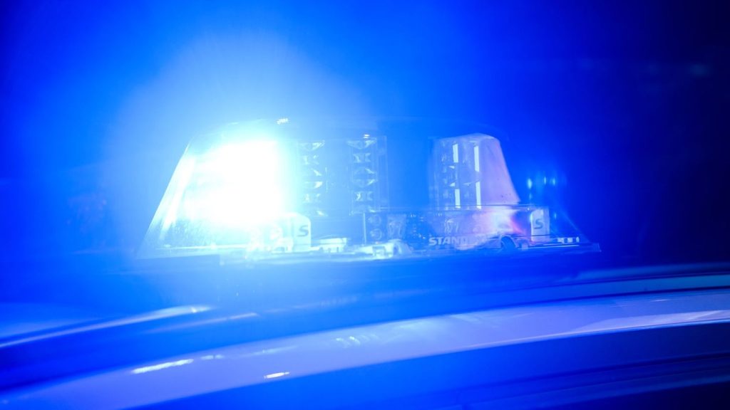 Auto landet im Graben: Auto gerät in Graben - Fahrer erliegt Verletzungen