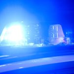 Auto landet im Graben: Auto gerät in Graben - Fahrer erliegt Verletzungen