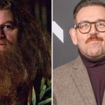 Er spielt Hagrid in der "Harry Potter"-Serie: Nick Frost möchte keine Kopie sein