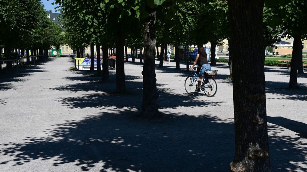 Hitze: Hitzeschutzplan für MV - Fokus auf Pflegebedürftige