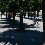 Hitze: Hitzeschutzplan für MV - Fokus auf Pflegebedürftige