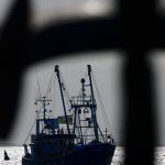 Naturschutz: WWF: Grundschleppnetze fangen viele Fische in Schutzgebieten