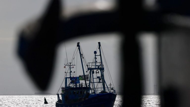 Naturschutz: WWF: Grundschleppnetze fangen viele Fische in Schutzgebieten