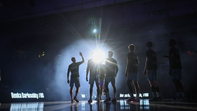 Basketball-Bundesliga: Hamburg Towers erhalten Bundesliga-Lizenz ohne Auflagen