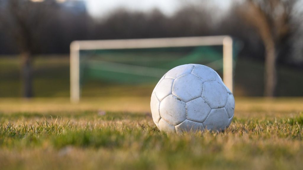 Pornografie-Verdacht: Ermittlungen gegen Jugend-Trainer des 1. FC Magdeburg