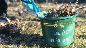 Stadtnatur: Tag des Gartens im Stadtpark Lichtenberg