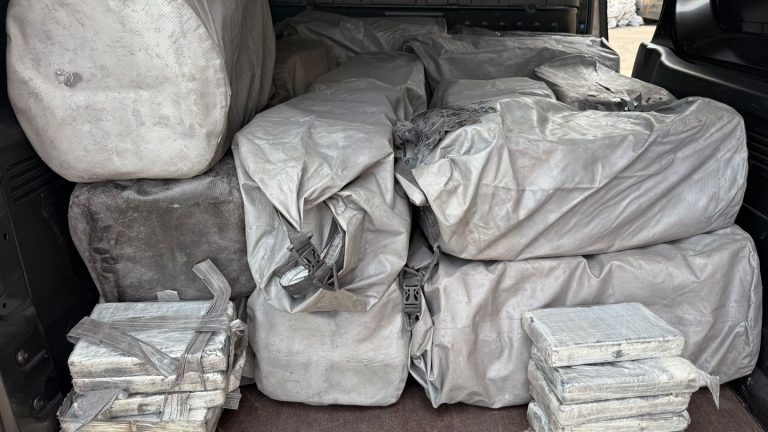 Im zweistelligen Millionenwert: Versteckt in Container: Fahnder entdecken halbe Tonne Kokain