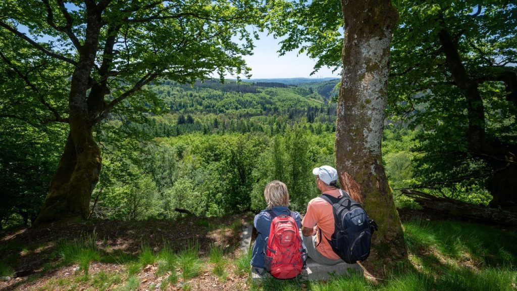 Nationalpark: Nationalpark Hunsrück-Hochwald feiert erste zehn Jahre