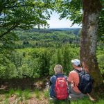 Nationalpark: Nationalpark Hunsrück-Hochwald feiert erste zehn Jahre