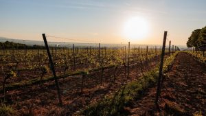 Wetter: Bald wieder trockener und wärmer an Rhein, Mosel und Saar
