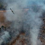 Brasilien: Brände treiben Zerstörung des Amazonas-Regenwalds voran