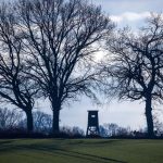 Keine Gefahr für den Menschen: Goldschakale in Niedersachsen bisher kein Problem
