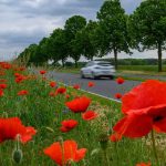 Wetter: Wechselhaftes Pfingstwochenende in Berlin und Brandenburg