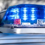 Tiere: Entlaufener Hund sorgt für Stau auf Autobahn