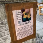 Gesellschaft: Nach Teddybär-Diebstahl in Berlin noch keine heiße Spur