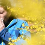 Pollen und Allergien: Blütezeit: Ministerin verweist auf Infos zum Pollenflug