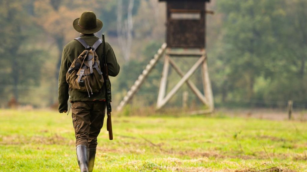 Kriminalität: Tierschutz oder Straftat? Manche Aktivisten greifen zur Säge