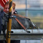 Kriegsfolgen: 250-Kilo-Bombe aus Zweitem Weltkrieg in Hamburg entschärft