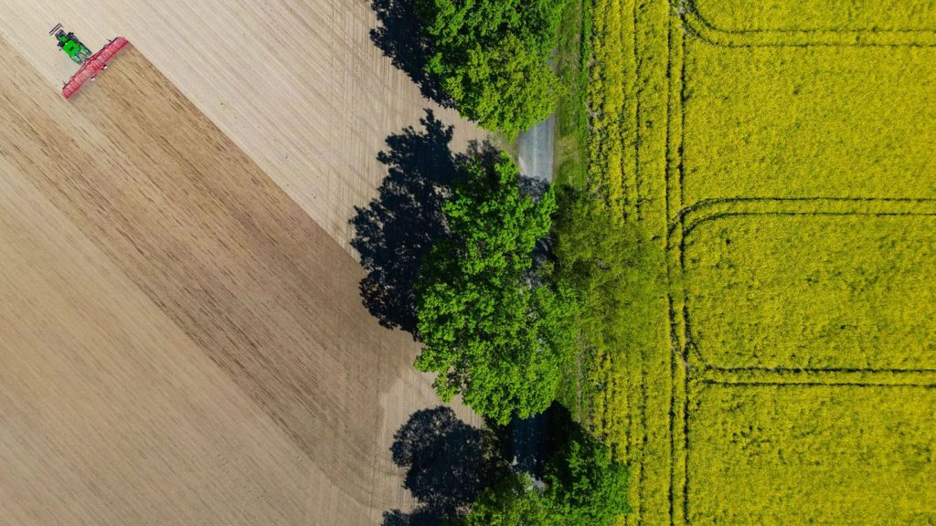 Landwirtschaft: Landwirte öffnen ihr Höfe bei der 30. Landpartie