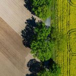 Landwirtschaft: Landwirte öffnen ihr Höfe bei der 30. Landpartie
