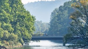 Naturschutzprojekt: Kleine Streber wieder da: Seltene Fische in Isar ausgesetzt