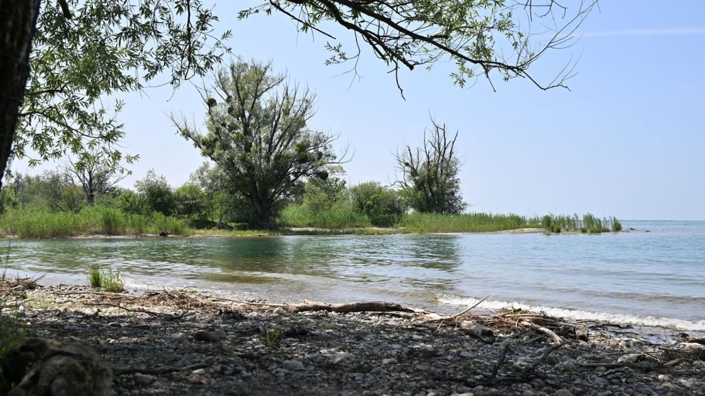 Nacktbaden: Neuer FKK-Strand am Bodensee geplant