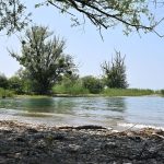 Nacktbaden: Neuer FKK-Strand am Bodensee geplant
