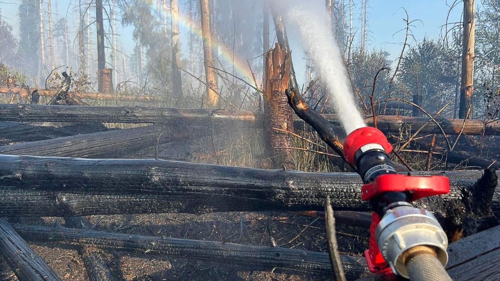 Feuerwehreinsatz: Waldbrand am Möhnesee schwelt weiter - aber kontrolliert