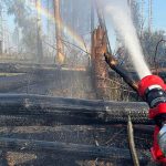 Feuerwehreinsatz: Waldbrand am Möhnesee schwelt weiter - aber kontrolliert
