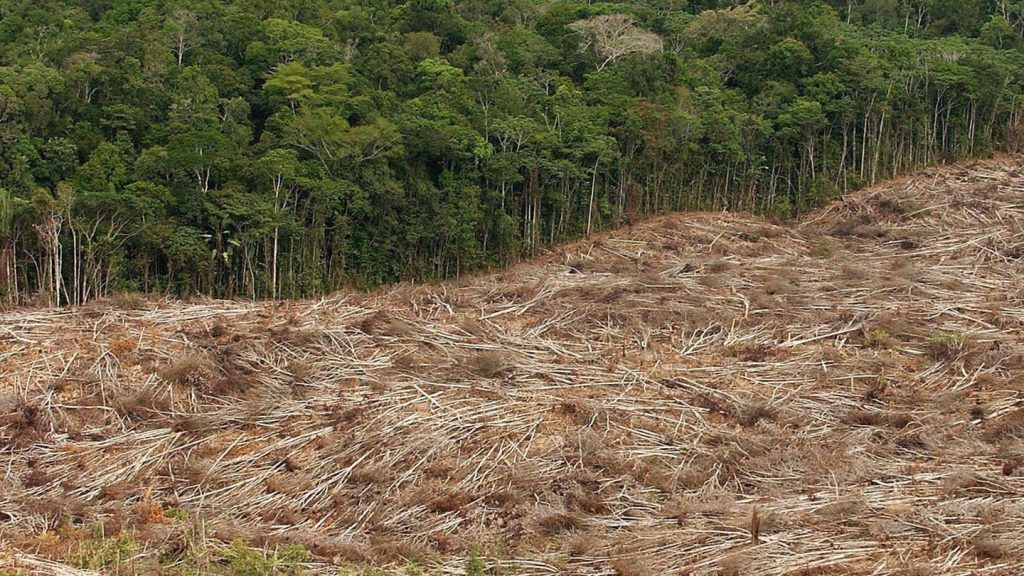 Hochgiftiges Schwermetall: Flüsse tragen weit mehr Quecksilber in Ozeane als 1850