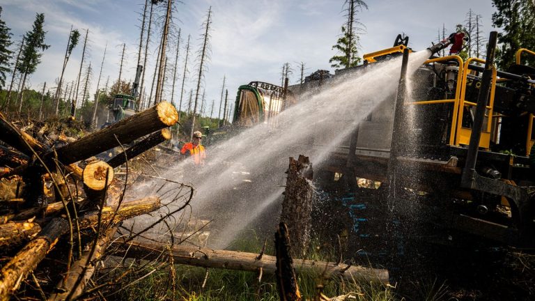 Feuerwehreinsatz: Waldbrand am Möhnesee ist gelöscht