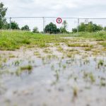 Reptil gesichtet: Alligator-Suche in Vechta geht weiter