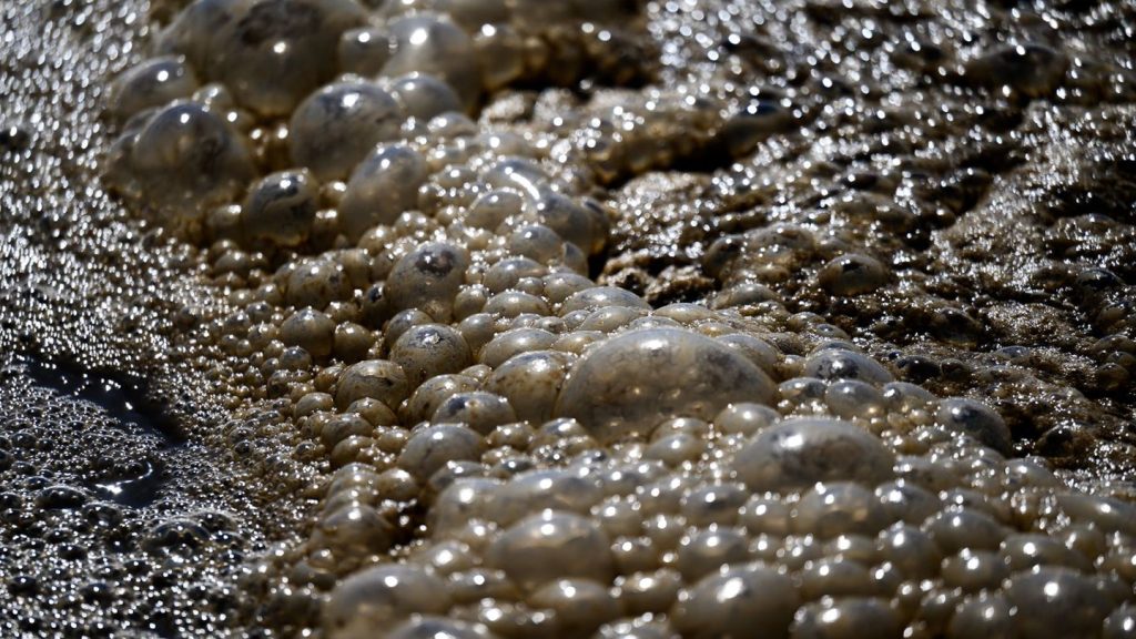 Havarie: Abwasser strömt aus Schacht im Eichsfeld