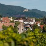 Ergebnis wohl noch am Abend: Wahlsonntag in Neustadt - Wer übernimmt das Rathaus?