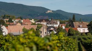 Ergebnis wohl noch am Abend: Wahlsonntag in Neustadt - Wer übernimmt das Rathaus?