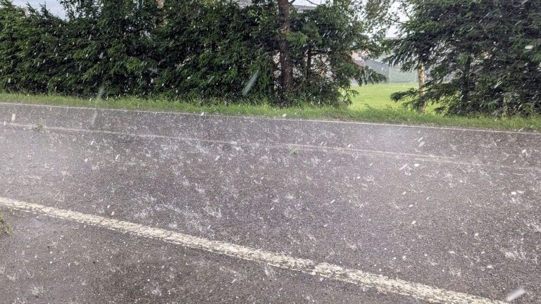 Wetter: Gewitter und Starkregen werden in Baden-Württemberg erwartet