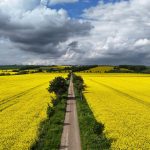 Maximal 24 Grad: Milder Wochenstart mit Sonne und Wolken in Thüringen