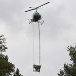 Larven im Litermaß: Mit dem Regen kommen die Stechmücken - Einsätze am Oberrhein
