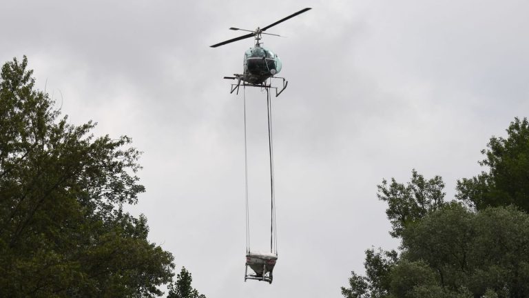 Larven im Litermaß: Mit dem Regen kommen die Stechmücken - Einsätze am Oberrhein
