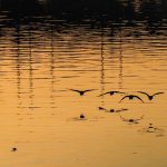 Wetter: Sonniges Wetter für Hessen erwartet
