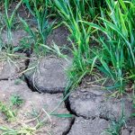 Trockenes Klima: Landkreis Wolfenbüttel schränkt Wasserentnahme ein