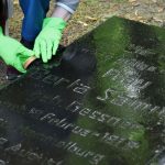 Judentum: Putzaktion in Rostocker Park zur Pflege jüdischen Erbes