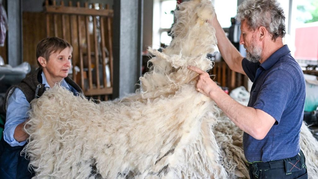 Wollwäsche: Waschanlage für Schafwolle entsteht in Roskow