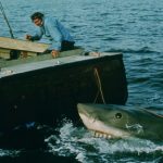 Als Spielberg fast baden ging: Daa-dam, Daa-dam: 50 Jahre "Der weiße Hai"