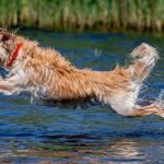 Wetter: Bis zu 31 Grad: Eine Woche voller Sonnenschein in Hessen