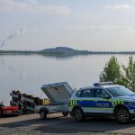 Raubtier: Begegnung mit einem Puma: Kein Augenkontakt und zurückziehen