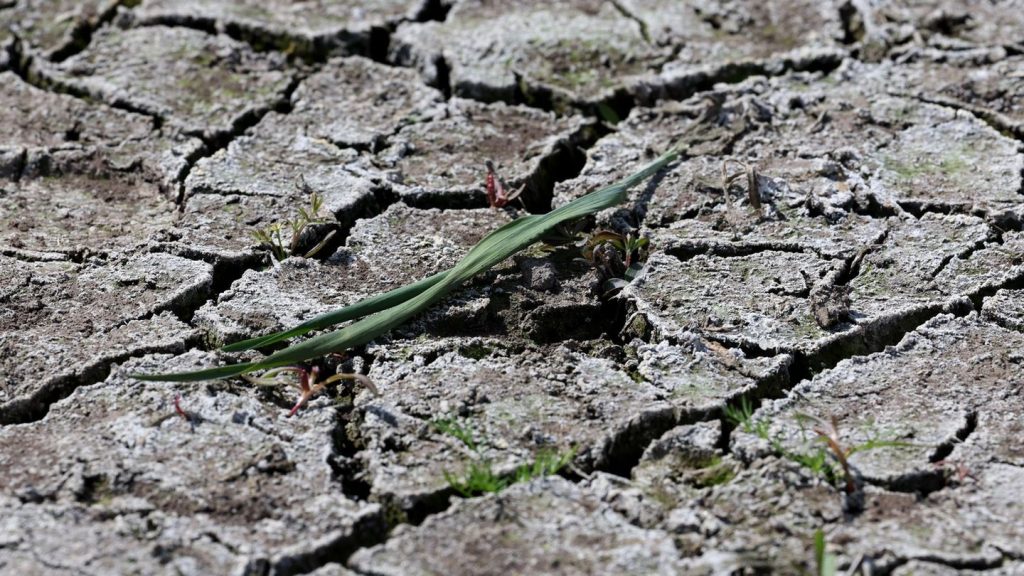 Wasserversorgung: Grundwasserstände in Sachsen gesunken - Managementkonzept