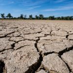 UN-Klimakonferenz in Bonn: Studie: CO2-Budget für 1,5-Grad-Ziel schrumpft rapide