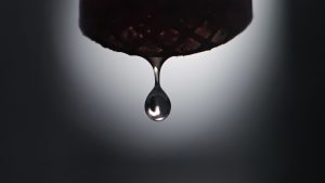 Wassermangel: Landkreise und Cottbus schränken Wasserentnahme ein
