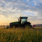 Landwirtschaft: Bauernverband: Ernte 2025 fällt regional unterschiedlich aus